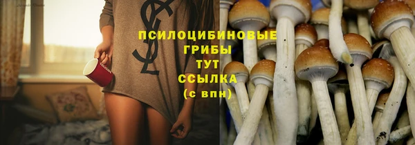 МДПВ Надым