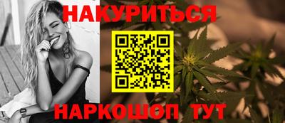 сатива Будённовск
