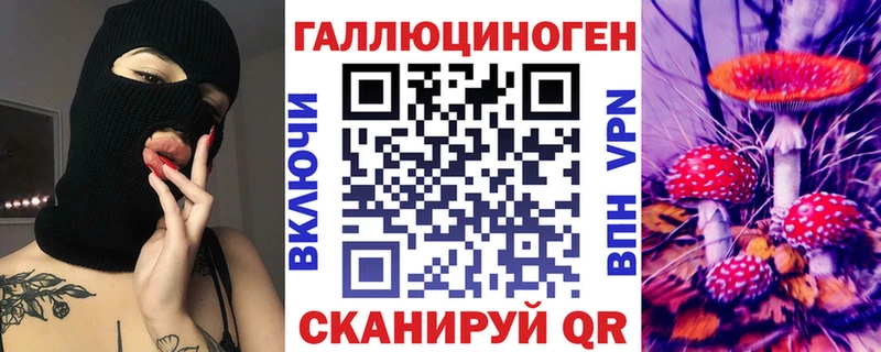 сколько стоит  Ульяновск  Галлюциногенные грибы Psilocybe 